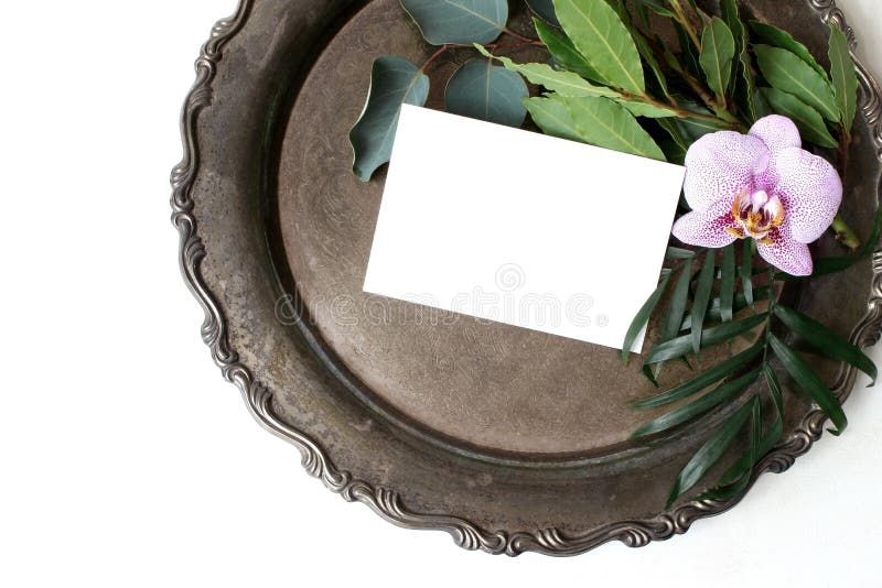 Utformat materielfoto Kvinnlig sammansättning för sommarbröllopstilleben, modellplats Closeup av tappningsilvermagasinet, mellanr royaltyfri bild