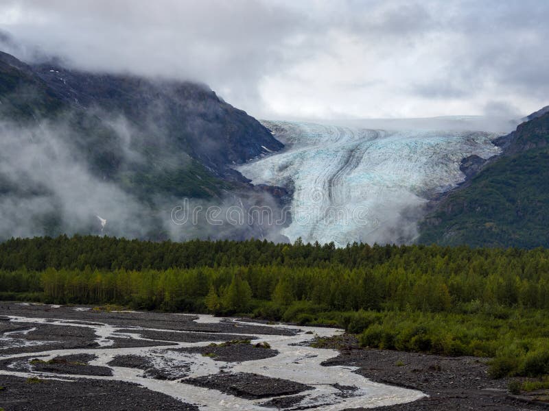Utgångsglaciär som stiger över nationalpark för skog och för flätad flod, Kenai fjordar fotografering för bildbyråer Utgångsglaciär som stiger över nationalpark för skog och för flätad flod, Kenai fjordar fotografering för bildbyråer