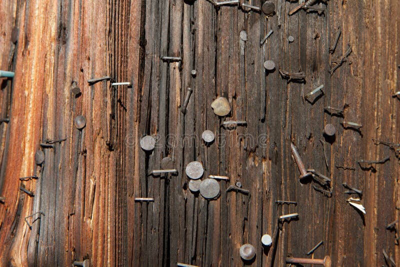 Utility Pole Nails Horizontal Stock Image Image of utility, outdoor
