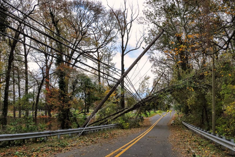 Utility Power Line and Pole Toppled by Fallen Tree stock photography