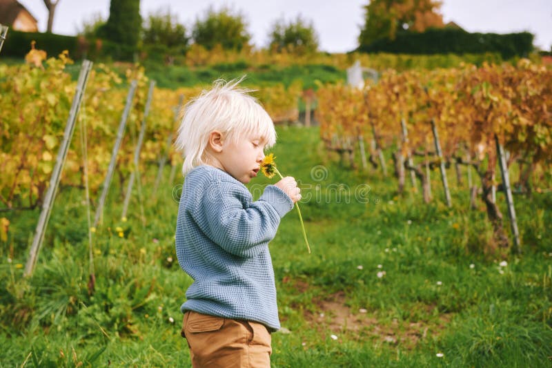 Outdoor portrait of adorable toddler boy playing in autumn vineyards, happy and active lifestyle. Outdoor portrait of adorable toddler boy playing in autumn vineyards, happy and active lifestyle