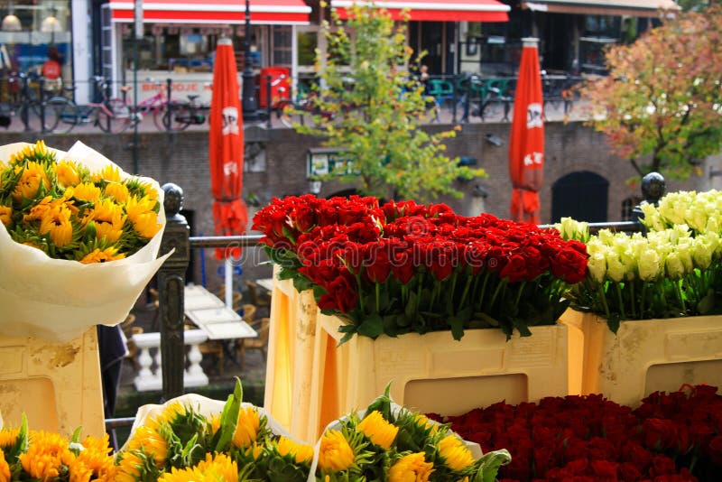 UTRECHT SOM ÄR NEDERLÄNDSK - OKTOBER 20 2018: Sikt på buketter av gula solrosor och röda tulpan nära vattenkanalen på blommamarkn royaltyfri bild UTRECHT SOM ÄR NEDERLÄNDSK - OKTOBER 20 2018: Sikt på buketter av gula solrosor och röda tulpan nära vattenkanalen på blommamarkn royaltyfri bild