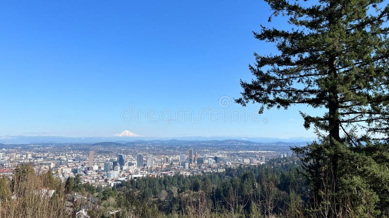 Utsikt över hamnstaden i Oregon. En vacker syn på landskapet kring hamnstaden med en snöstuga som växer över staden i öster.