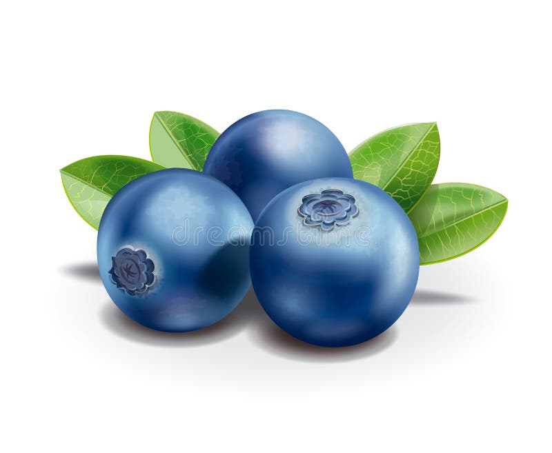 Uva-do-monte