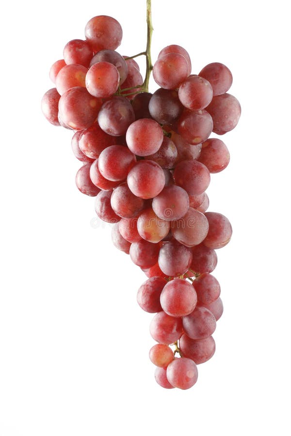 Red grape isolated from backround. Red grape isolated from backround