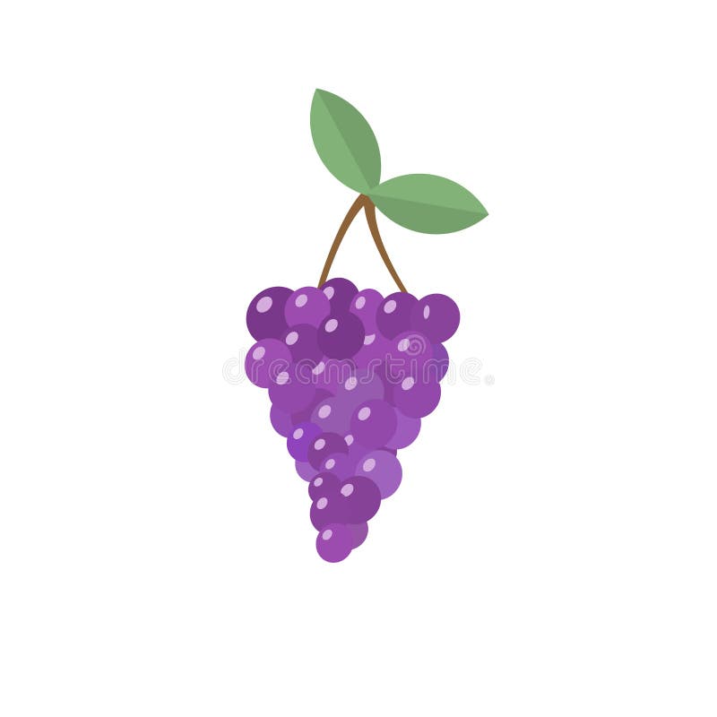 Uvas De Vino Ilustración Vector Animado Ilustración del Vector - Ilustración de travieso, uvas: 220473176 Uvas De Vino Ilustración Vector Animado Ilustración del Vector - Ilustración de travieso, uvas: 220473176