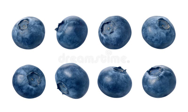 Uvas-do-monte imagem de stock