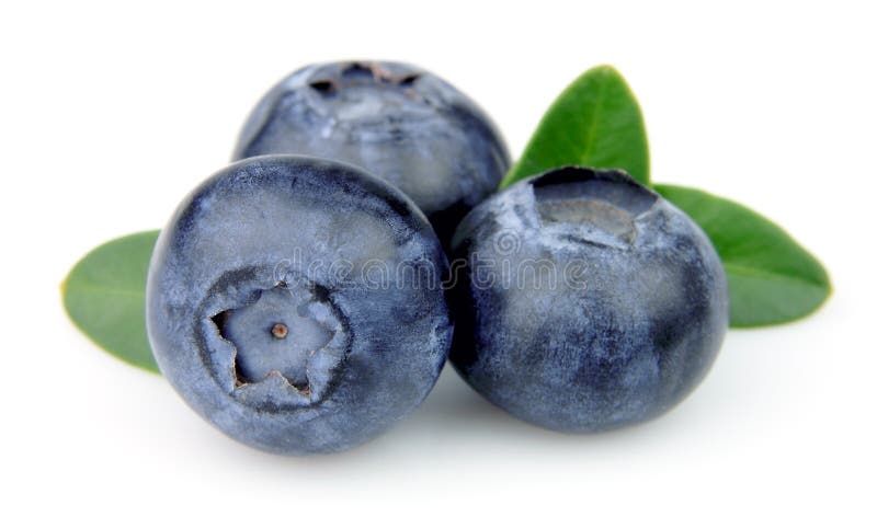 Uvas-do-monte com folhas imagens de stock Uvas-do-monte com folhas imagens de stock