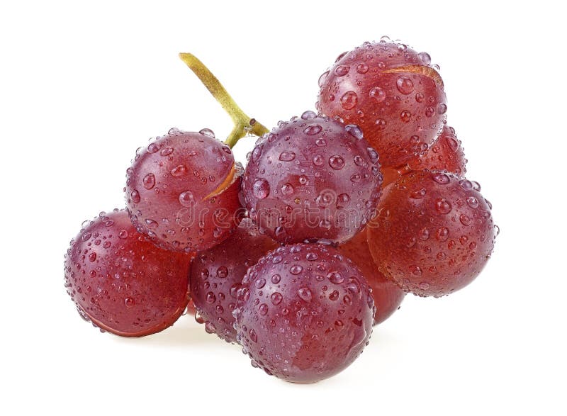 Uve fresche di colore rosso con gocce d’acqua isolate su fondo bianco fotografie stock