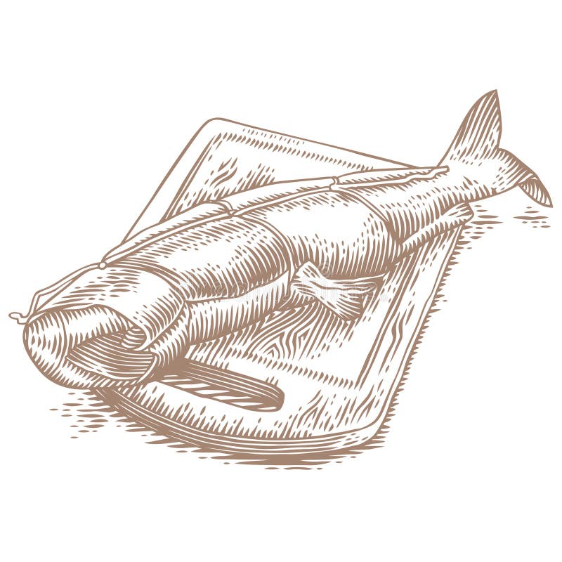 Uwędzony humpback łosoś royalty ilustracja Uwędzony humpback łosoś royalty ilustracja