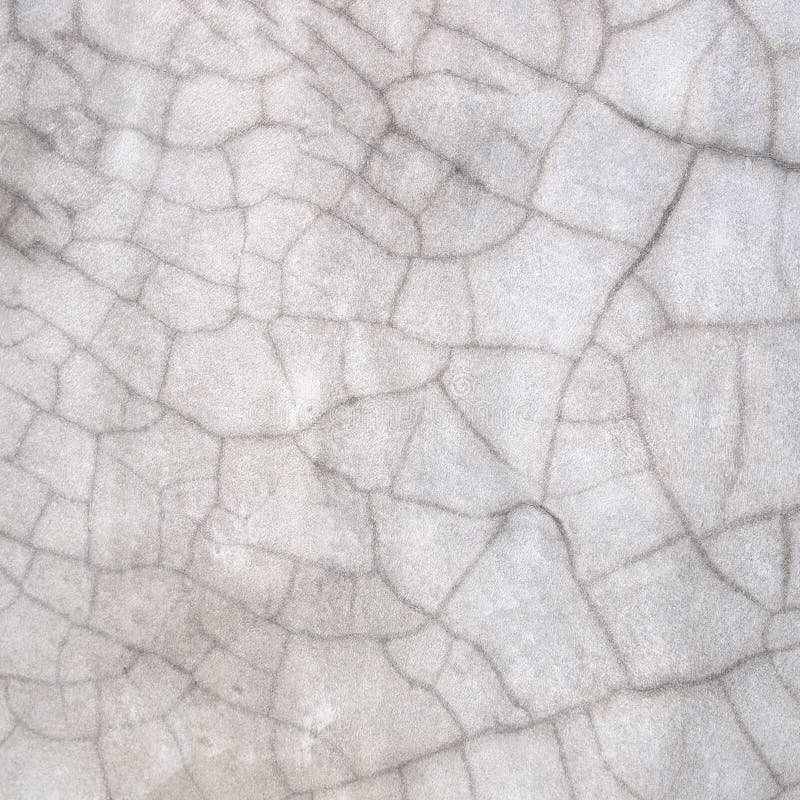 V? gg f? r sten f? r detaljerat fragment f? r bakgrund h? g royaltyfri fotografi