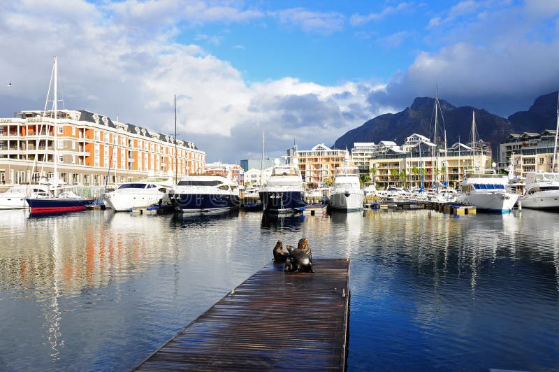 V&A Waterfront, Cape Town