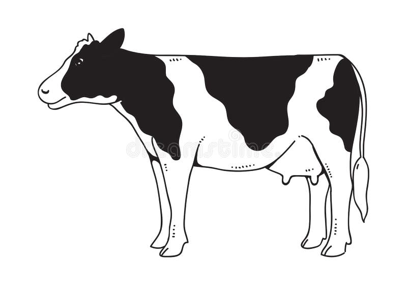Vaca para dibujar