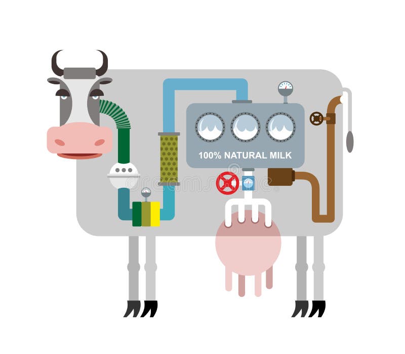 Vaca y leche Infographics que consigue la leche natural Etapas de favorable stock de ilustración Vaca y leche Infographics que consigue la leche natural Etapas de favorable stock de ilustración