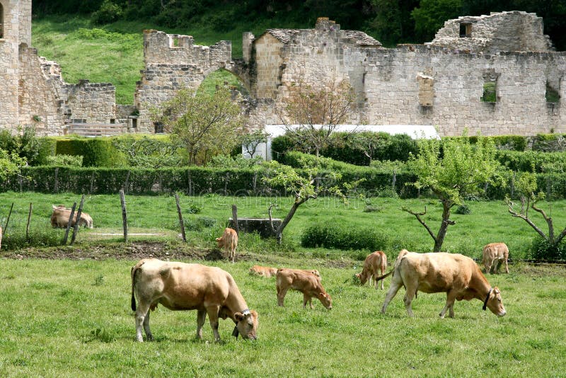 Hidden in the lush green valley of Yerri, in an isolated spot between the mountains, stands the Monastery of St. Mary of Iranzu, a grandiose Cistercian abbey built between the twelfth and fourteenth centuries. Hidden in the lush green valley of Yerri, in an isolated spot between the mountains, stands the Monastery of St. Mary of Iranzu, a grandiose Cistercian abbey built between the twelfth and fourteenth centuries.