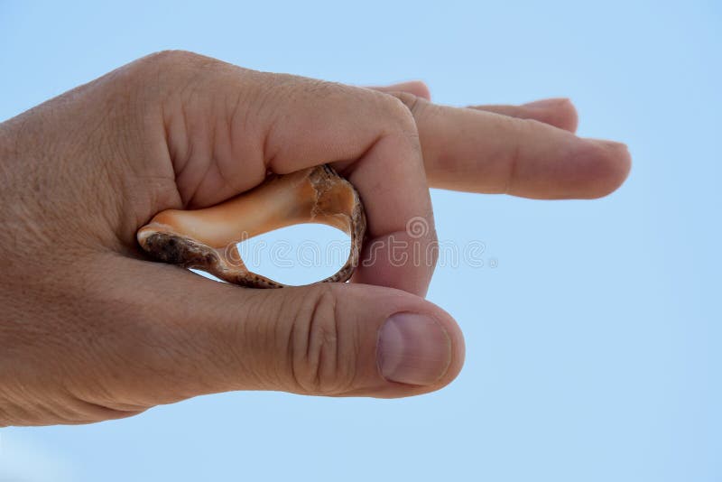 Vacation, beach holiday, summer: man`s hand with broken seashell against blue sky, inside shell large hole. Close-up royalty free stock images Vacation, beach holiday, summer: man`s hand with broken seashell against blue sky, inside shell large hole. Close-up royalty free stock images