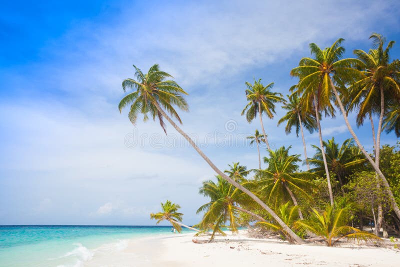 Vacation At Perfect Tropical White Sand Beach Stock Photo Image Of