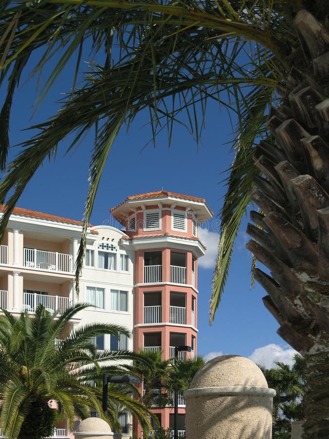 Vacation Resort Building Towers and Palm Tree. Vacation Resort Building Towers and Palm Tree