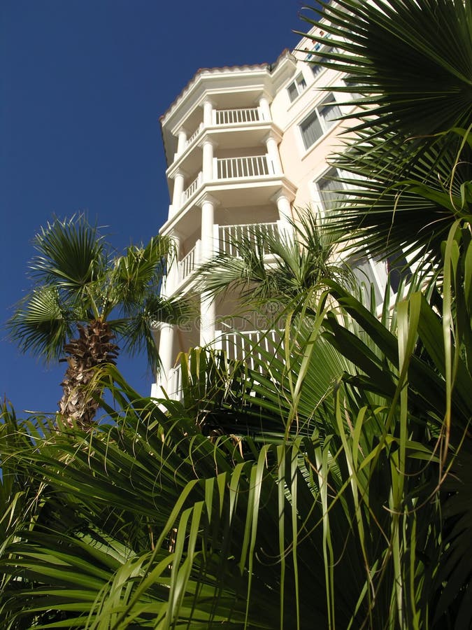 Vacation Resort Building Towers and Palm Tree. Vacation Resort Building Towers and Palm Tree