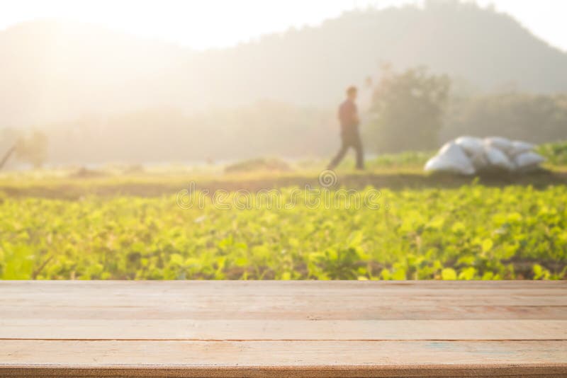 Vacie de la plataforma de espacio de madera del escritorio y de la agricultura vacía para a fotografía de archivo libre de regalías Vacie de la plataforma de espacio de madera del escritorio y de la agricultura vacía para a fotografía de archivo libre de regalías