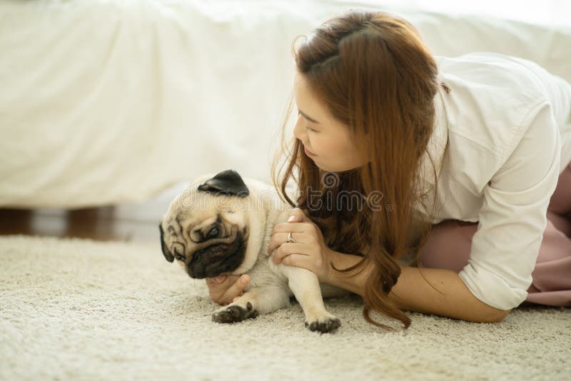 Vacker asiatisk ung kvinna leker med sitt sällskapsdjur och leker med hundpuggras arkivbild