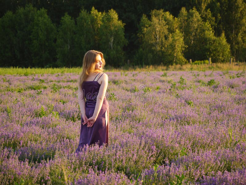 Vacker blond flicka med långt hår på ett lavenderfält på kvällen arkivbilder