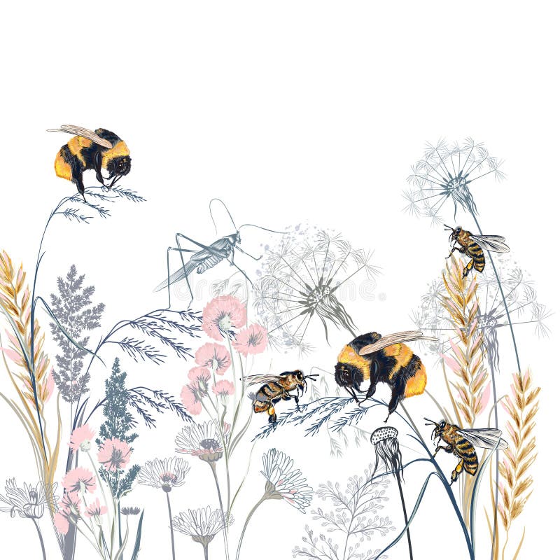 Vacker elegant vektorillustration med växter och humlor royaltyfri illustrationer