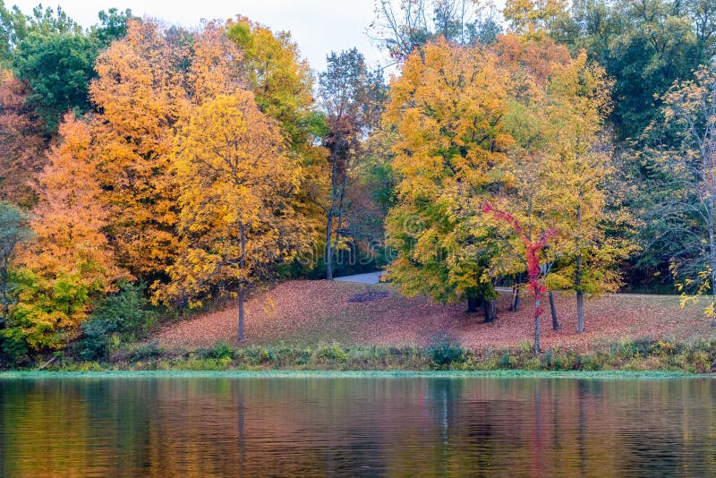 Vacker falllöv i cincinnati ohio royaltyfri foto