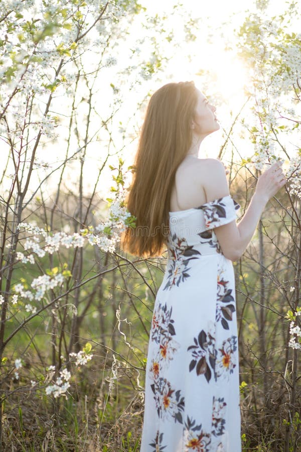 Vacker flicka bland körsbärsblommor på en solig vårdag royaltyfri bild