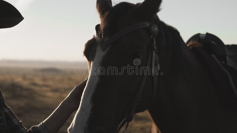 Vacker kvinna med häst. blond flicka i cowboyhatt och hakande häst