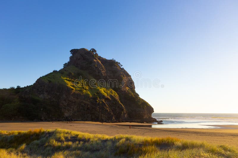 Vacker solnedgång vid Piha-stranden i Nya Zeeland. Solnedgång vid Piha-stranden, norra ön, Nya Zeeland