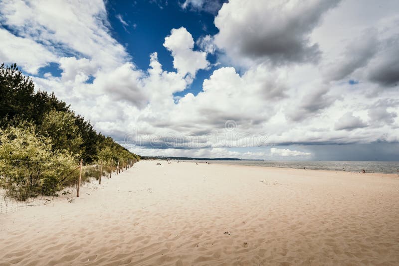 Vacker, tom baltisk strand royaltyfria bilder