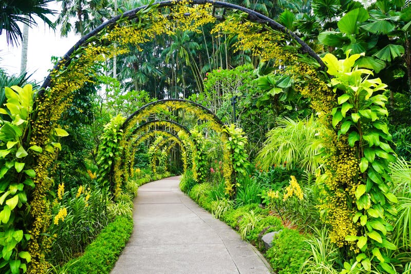 Vackert utseende på botaniska trädgårdar i Singapore i Australien arkivbilder