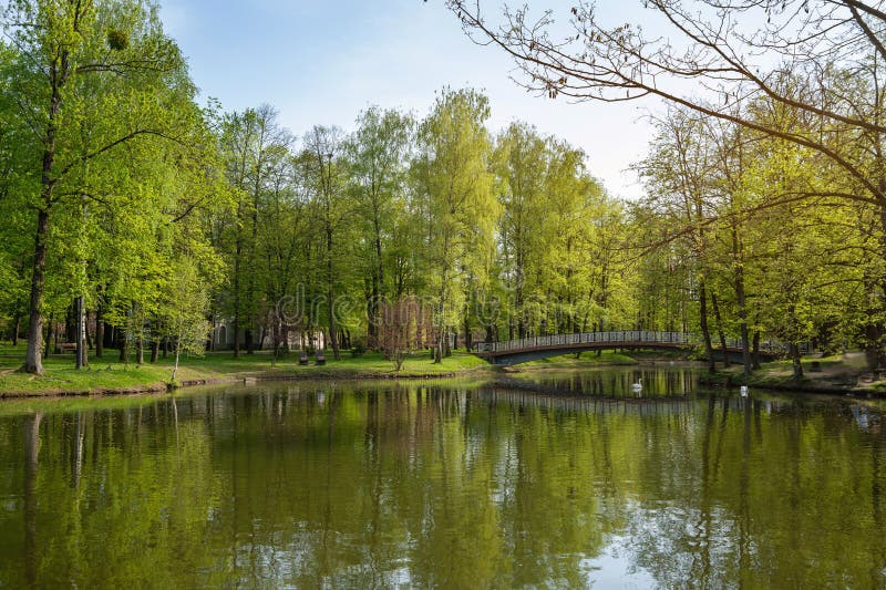 Vacksam syn på en vårstadspark med sjöbro och svans fotografering för bildbyråer