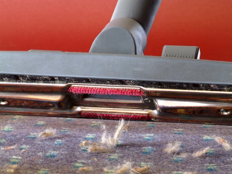 Close-up podlaha, čištění trysek, z hadice vysavač připraven k vyzvednutí chmýří koule z koberce.