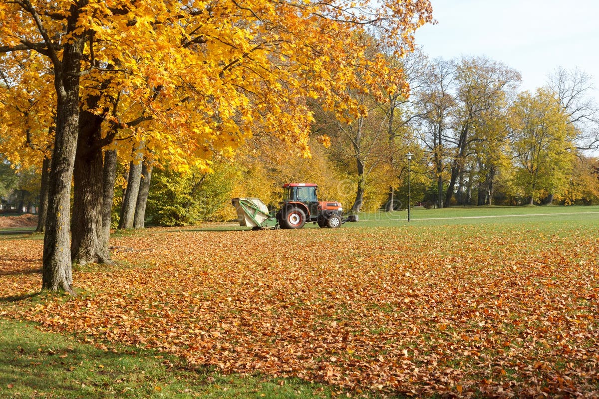 Man cleaning lawn mower stock image. Image of service - 130230035