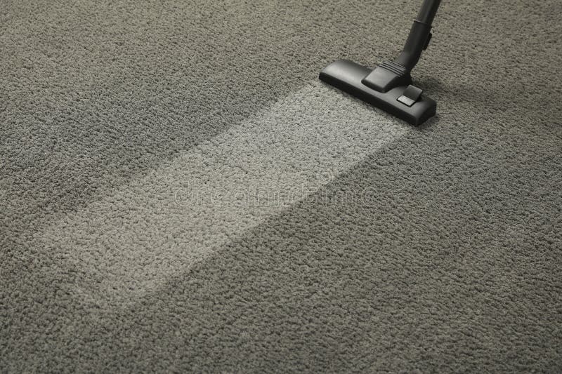 Vacuuming Grey Carpet. Clean Area after Using Device. Space for Text