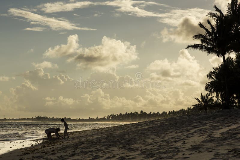 Vader en zoons het spelen op het strand met een Mooie zonsondergang ove stock afbeeldingen Vader en zoons het spelen op het strand met een Mooie zonsondergang ove stock afbeeldingen