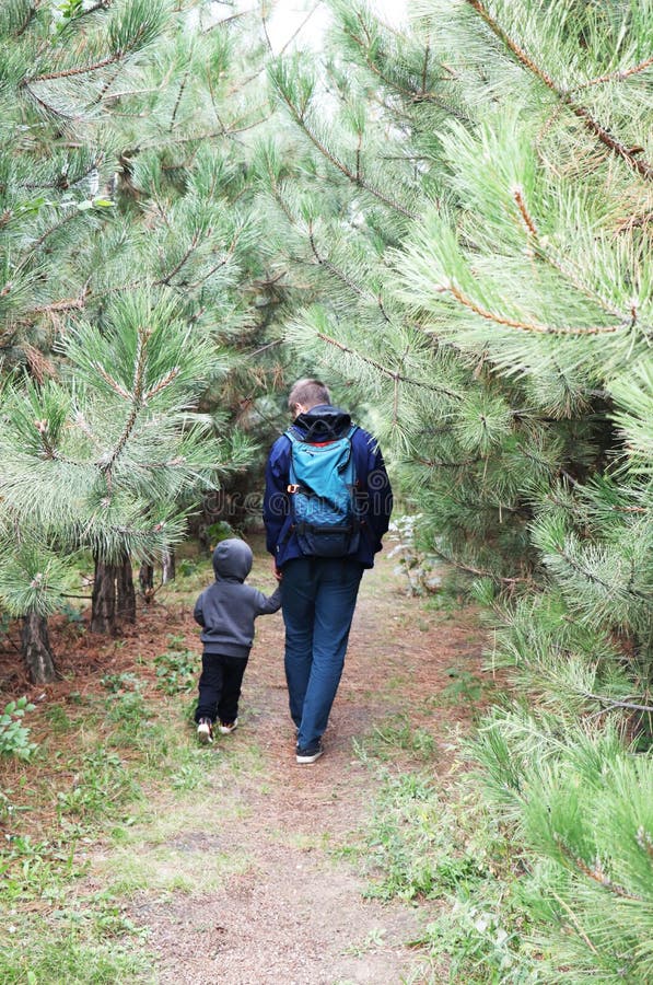 Vader en zoonsgang in het naaldbos onder de pijnbomen Het concept familiewaarden, stijging stock afbeeldingen Vader en zoonsgang in het naaldbos onder de pijnbomen Het concept familiewaarden, stijging stock afbeeldingen