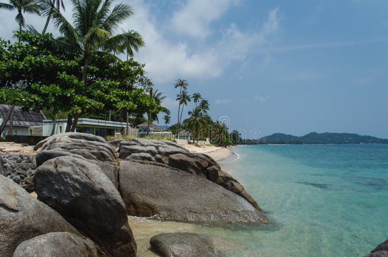 Vagga och den sandiga thailändska paradisstranden i Koh Samui, Thailand arkivbilder Vagga och den sandiga thailändska paradisstranden i Koh Samui, Thailand arkivbilder