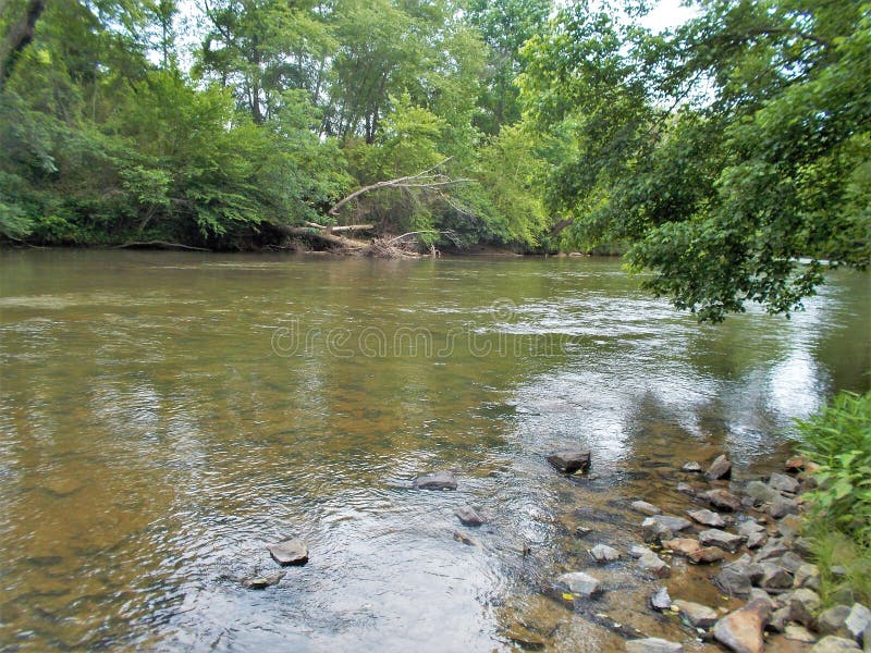 Klippor och forsar längs Dan River royaltyfria foton