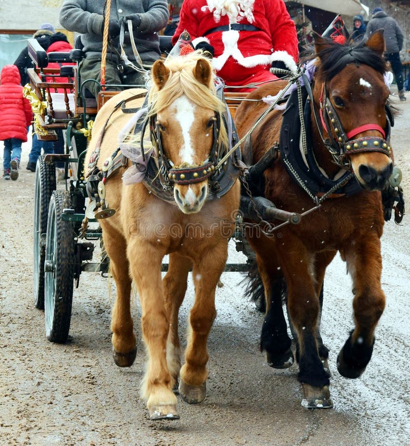 Vagn, hästar och Santa Claus i Dolomiti berg royaltyfria foton Vagn, hästar och Santa Claus i Dolomiti berg royaltyfria foton