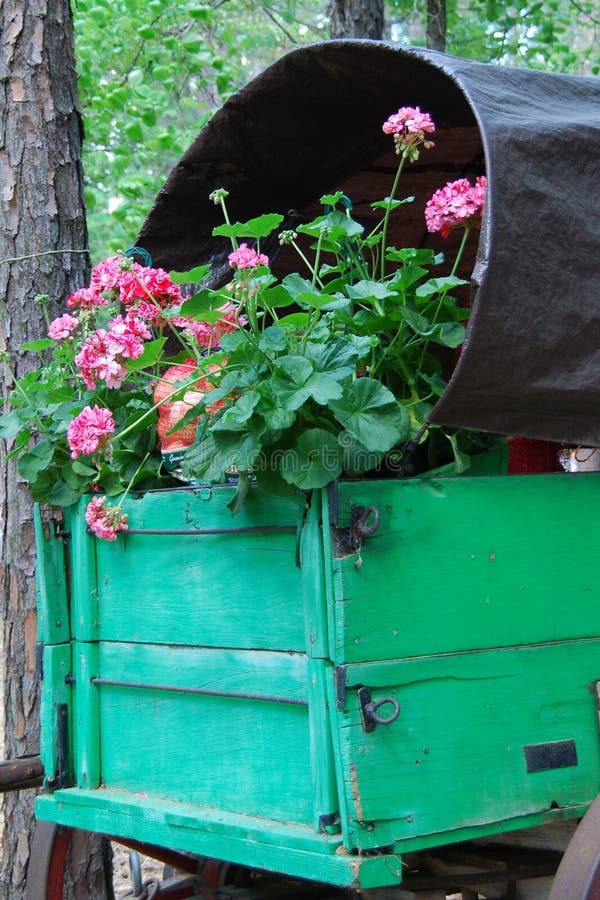 Vagone in pieno dei fiori immagini stock libere da diritti Vagone in pieno dei fiori immagini stock libere da diritti