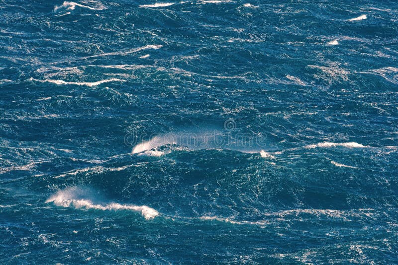 Vague avec le jet d'eau pendant la tempête photos libres de droits Vague avec le jet d'eau pendant la tempête photos libres de droits