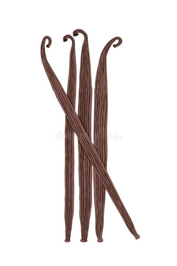 Vainilla seca sobre un paquete de fondo blanco de granos de vainilla de bourbon secos libre illustration