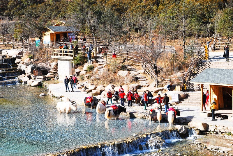 Vale da lua azul em Jade Dragon Snow Mountain, Lijiang, Yunnan China imagem de stock Vale da lua azul em Jade Dragon Snow Mountain, Lijiang, Yunnan China imagem de stock