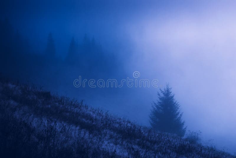 Vale enevoado Carpathian na noite fotografia de stock Vale enevoado Carpathian na noite fotografia de stock