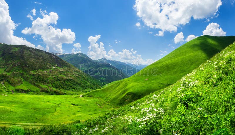 Vale verde bonito da montanha Montanhas gramíneas cênicos Dia de verão em Geórgia Paisagem brilhante de surpresa da montanha Mont imagens de stock Vale verde bonito da montanha Montanhas gramíneas cênicos Dia de verão em Geórgia Paisagem brilhante de surpresa da montanha Mont imagens de stock