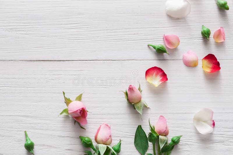 Valentine Day Background, Rose Flowers on White Wood Stock Photo ...