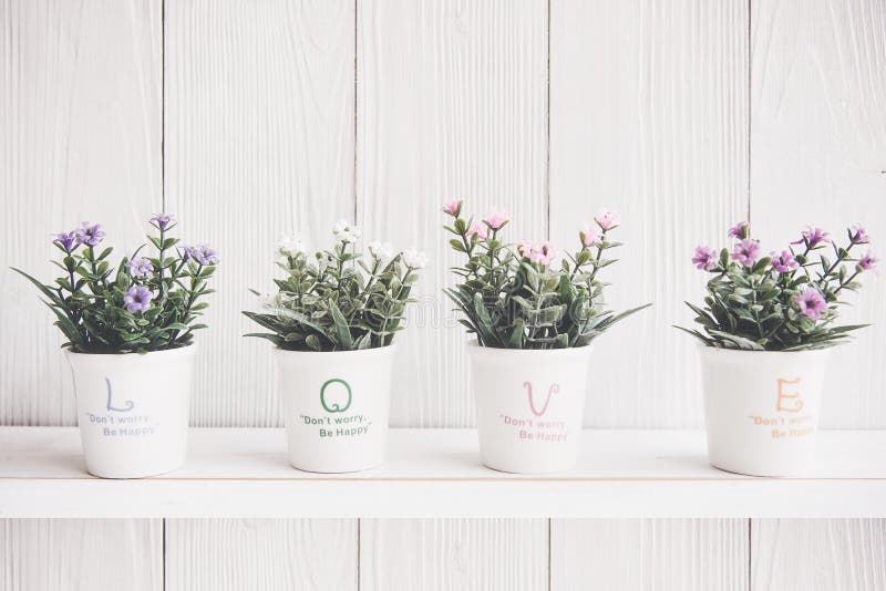Valentine Flower. Wood white wall with flower on shelf for lover couple. stock photo Valentine Flower. Wood white wall with flower on shelf for lover couple. stock photo